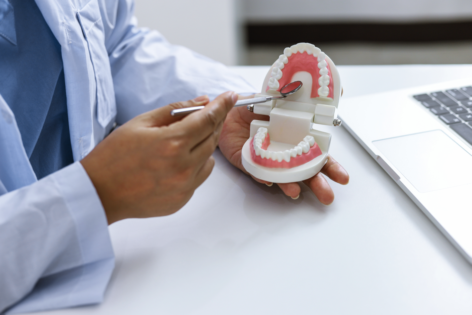 hands-on CE model for dentists